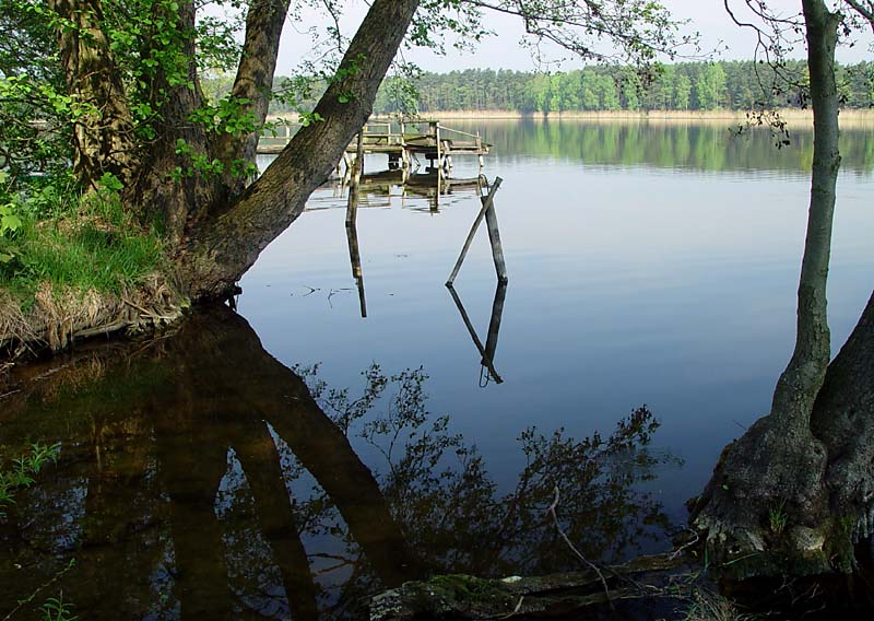 Frühling am See