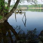 Frühling am See