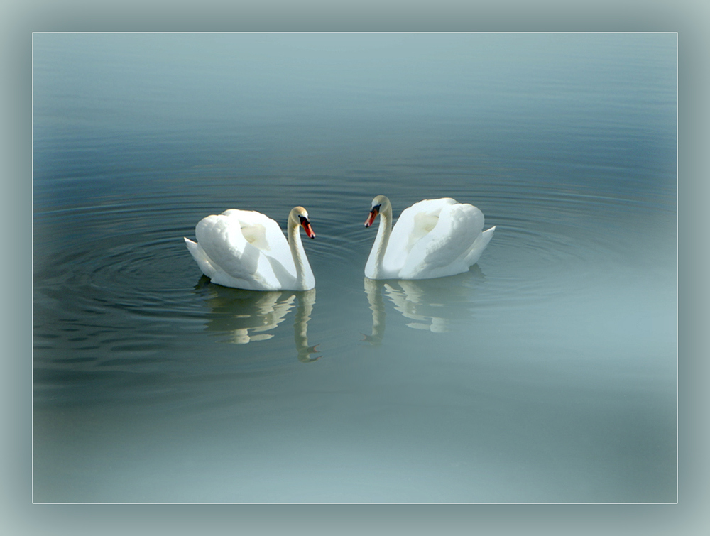 Frühling am See