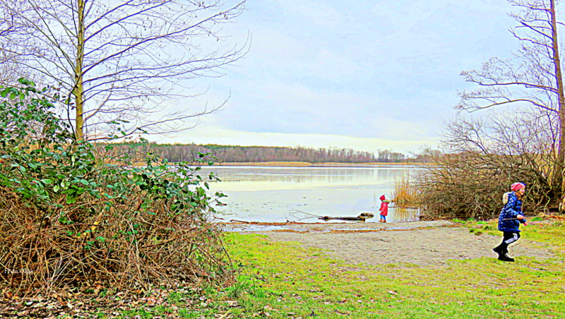 Frühling am See