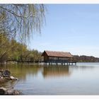 Frühling am See