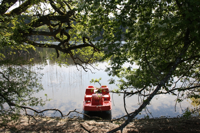 ~Frühling am See~