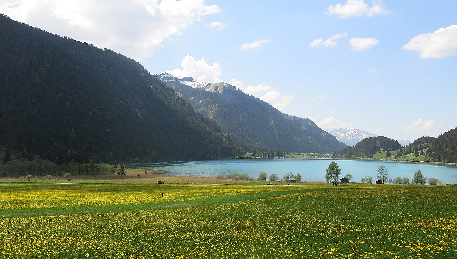 frühling am see