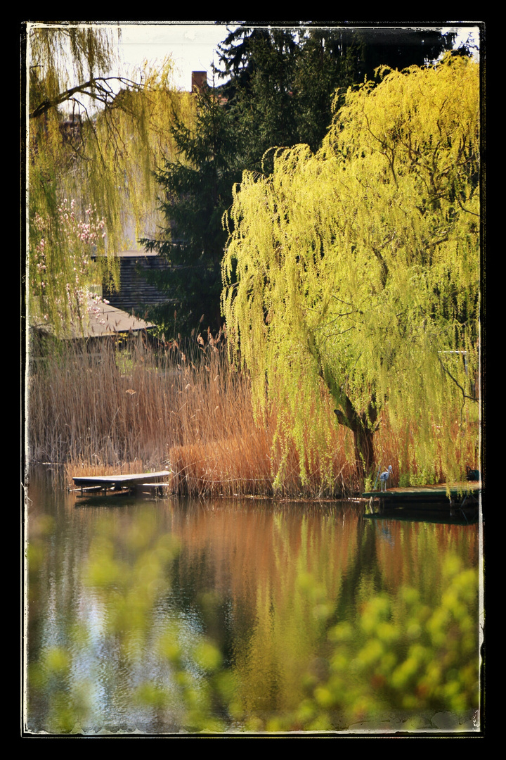 Frühling am See