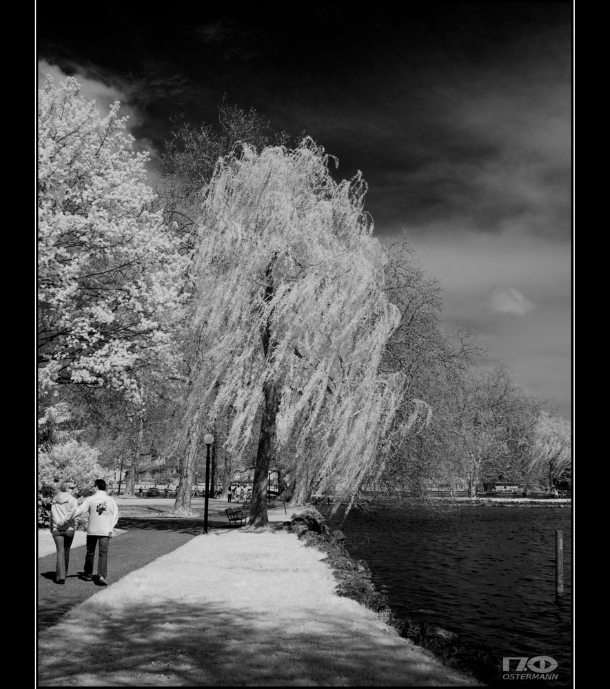 Frühling am See