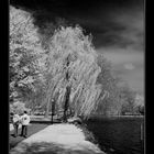 Frühling am See