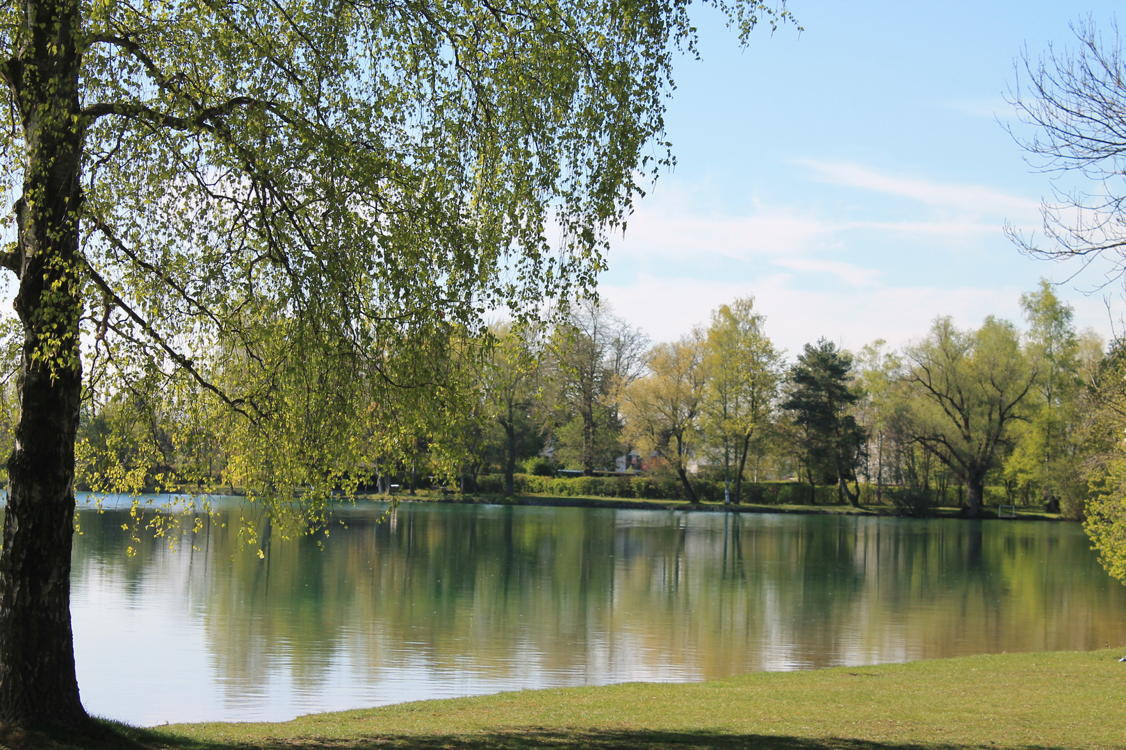 Frühling am See