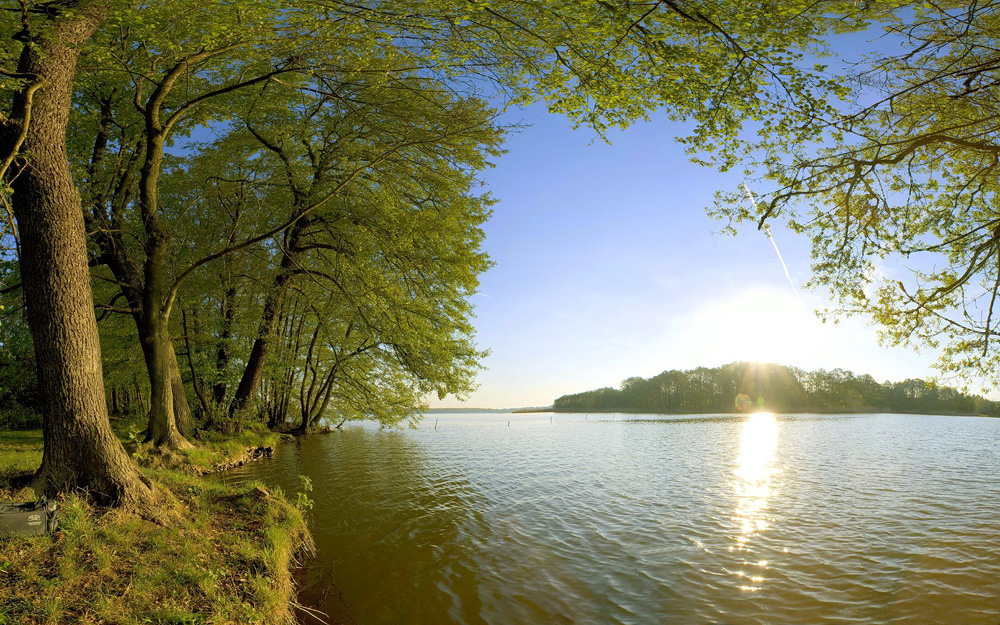 Frühling am See bei Berlin