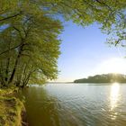 Frühling am See bei Berlin