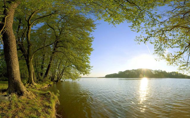 Frühling am See bei Berlin