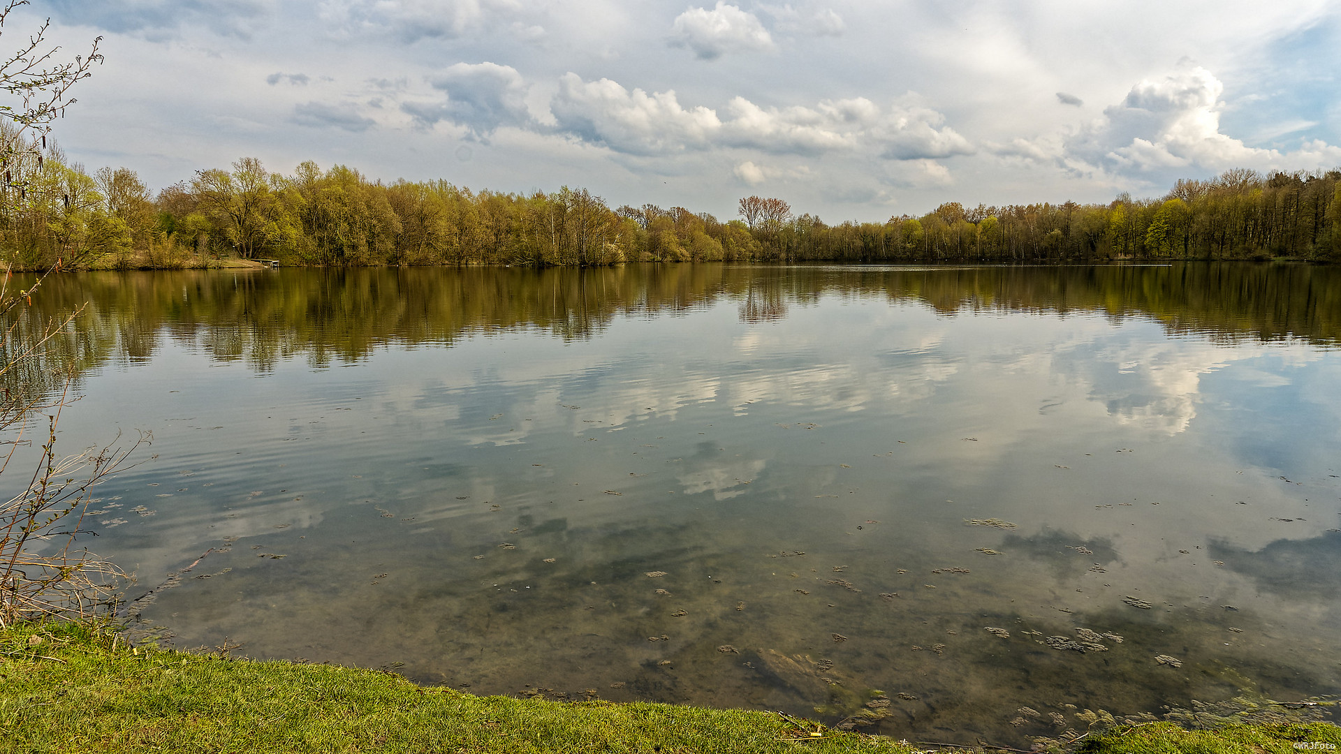 Frühling am See