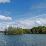 Frühling am See