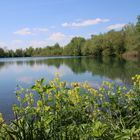 Frühling am See