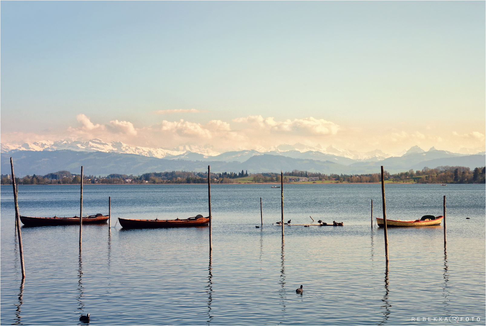 Frühling am See