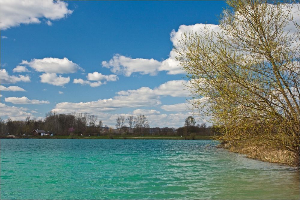 Frühling am See....