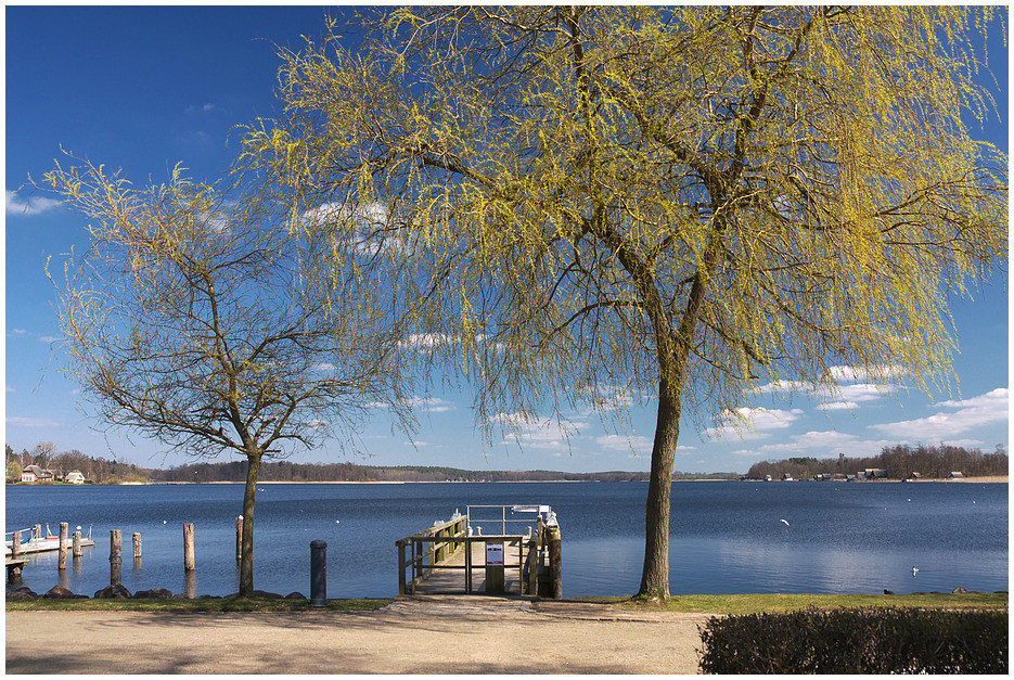 Frühling am See