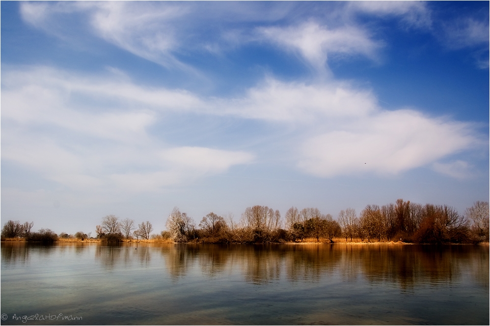 Frühling am Seerhein