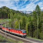 Frühling am Semmering