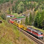 Frühling am Semmering