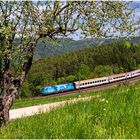 Frühling am Semmering