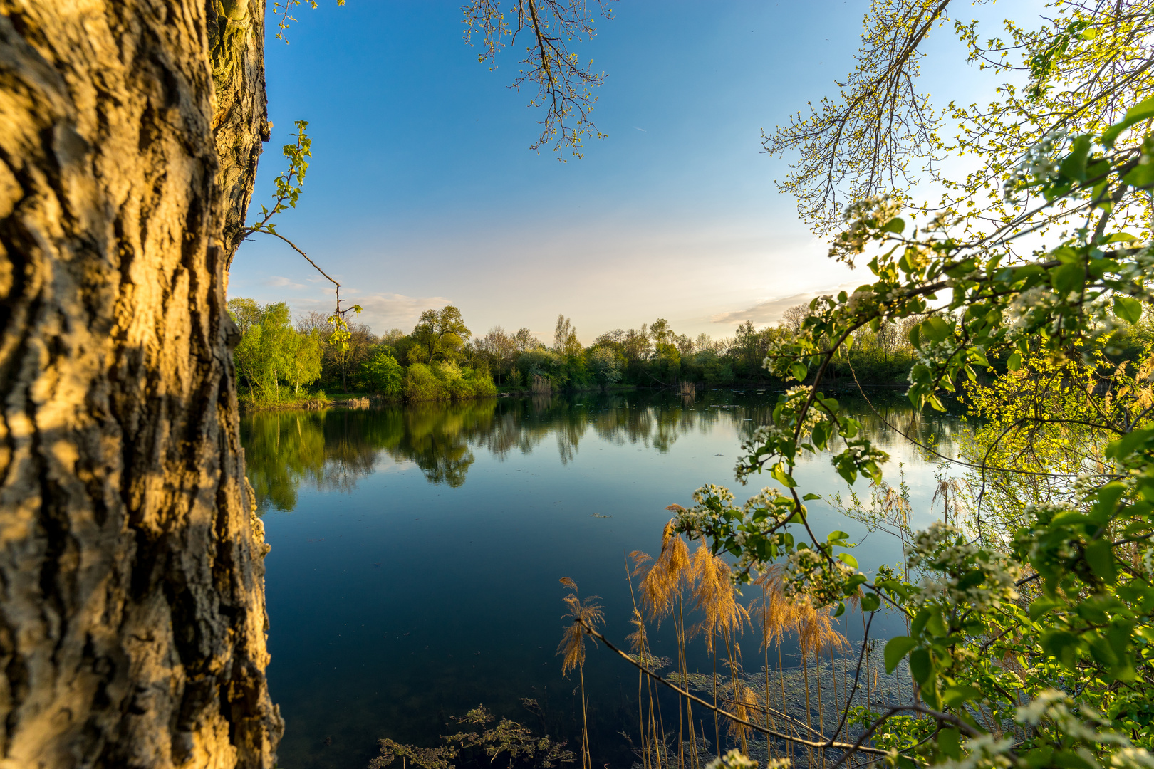 Frühling am Silbersee