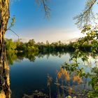 Frühling am Silbersee