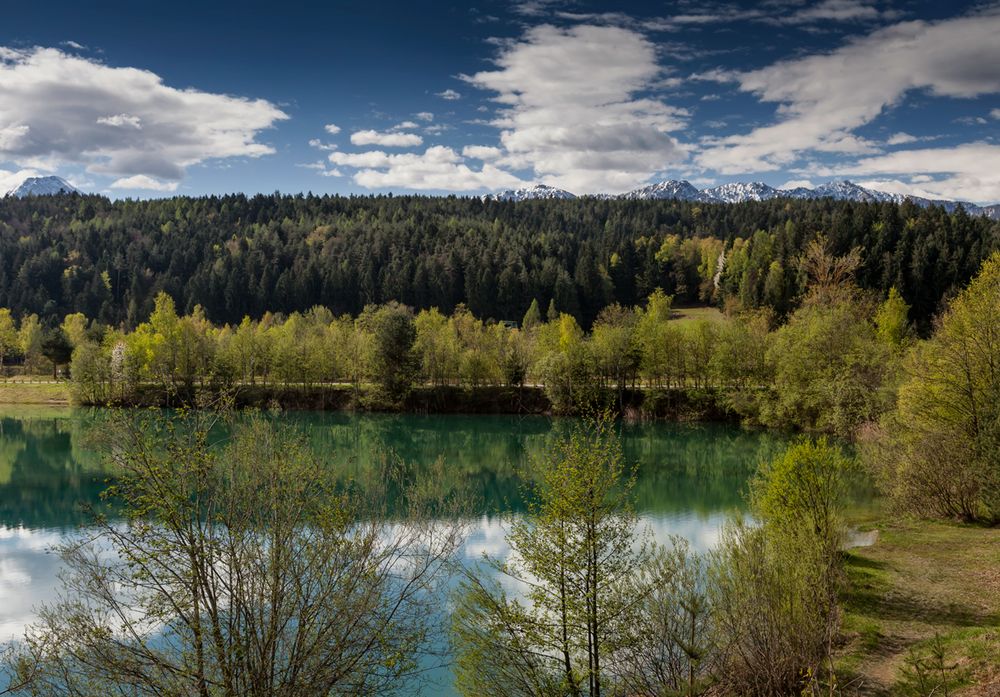 Frühling am Silbersee