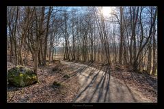 Frühling am sonnigen Weg