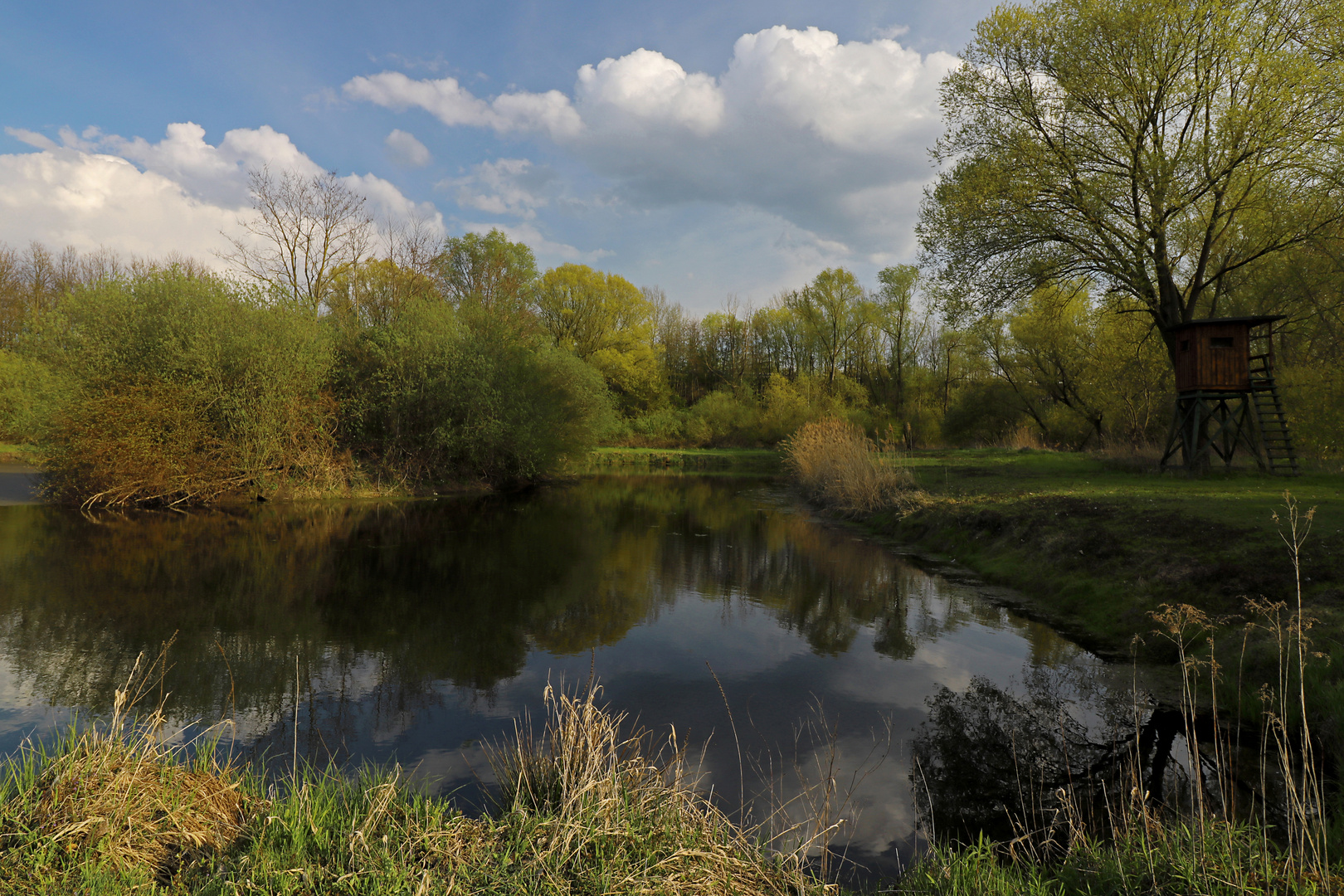 Frühling am Spiegelteich