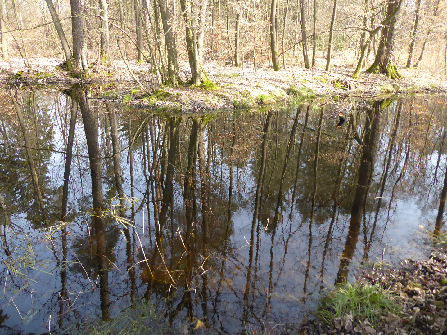 Frühling am Spukloch