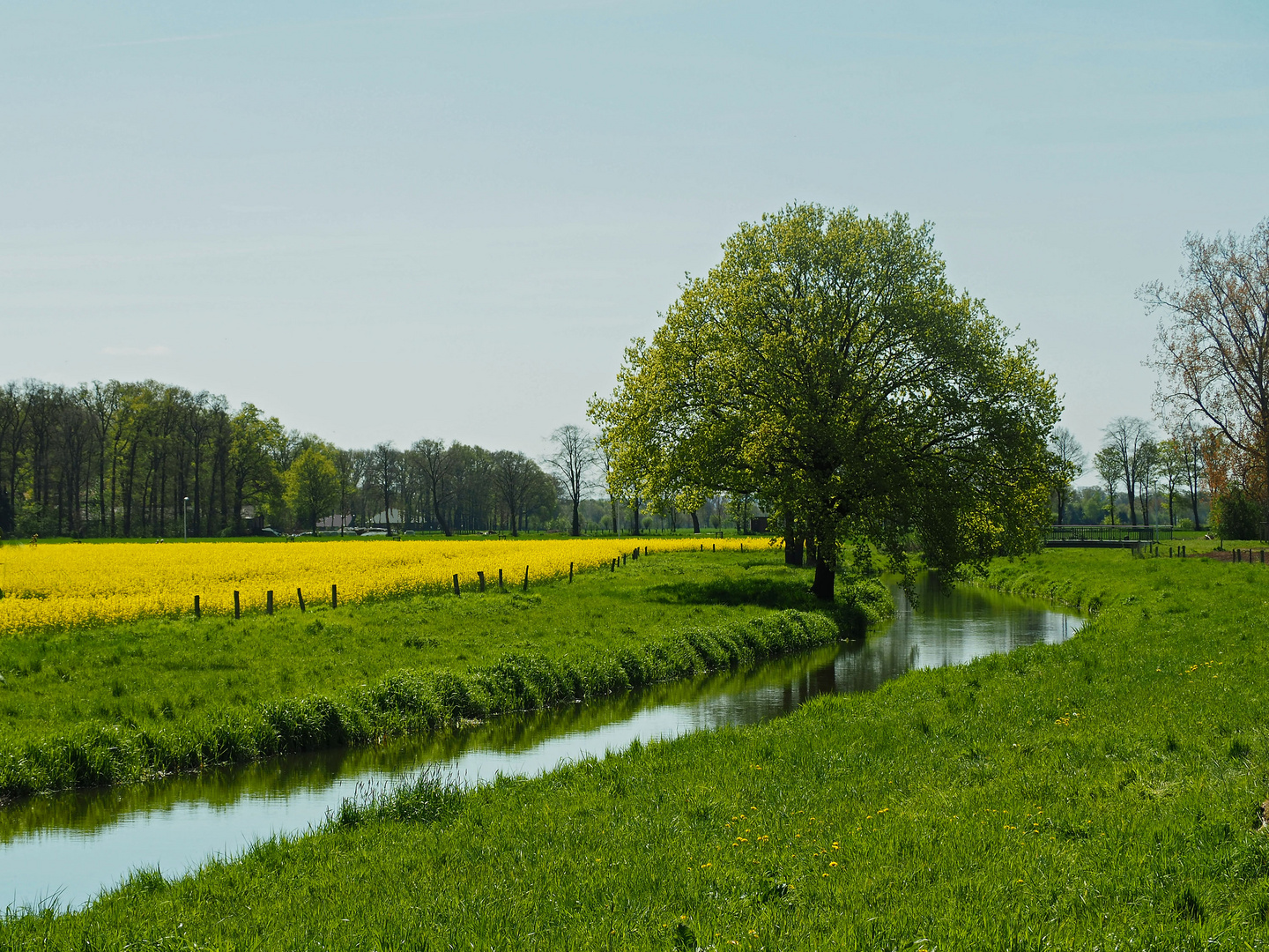 Frühling am Stadtrand von Diepholz