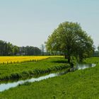 Frühling am Stadtrand von Diepholz