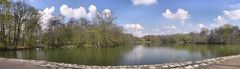 Frühling am Stadtwaldweiher