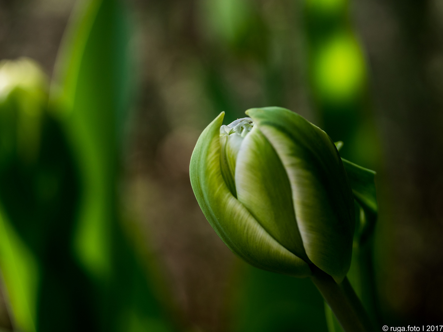 Frühling am Start