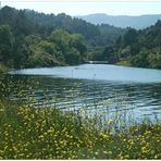 Frühling am Stausee