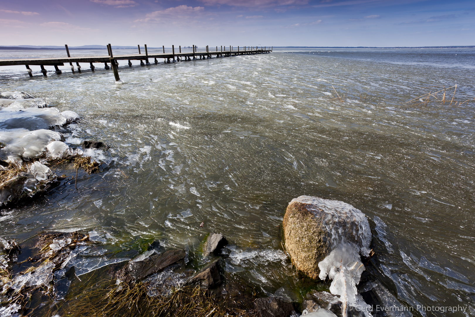 Frühling am Steinhuder Meer