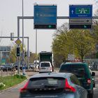 Frühling am Strassenrand