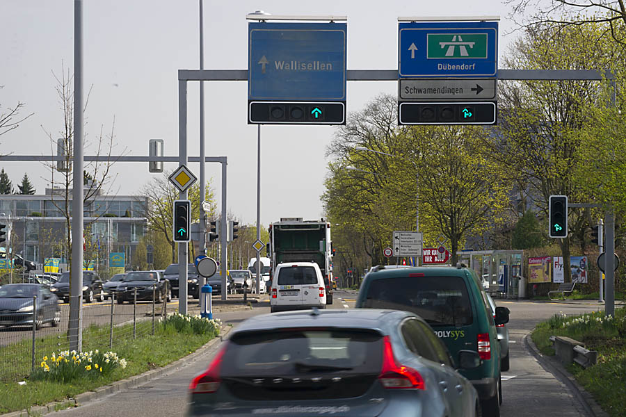 Frühling am Strassenrand