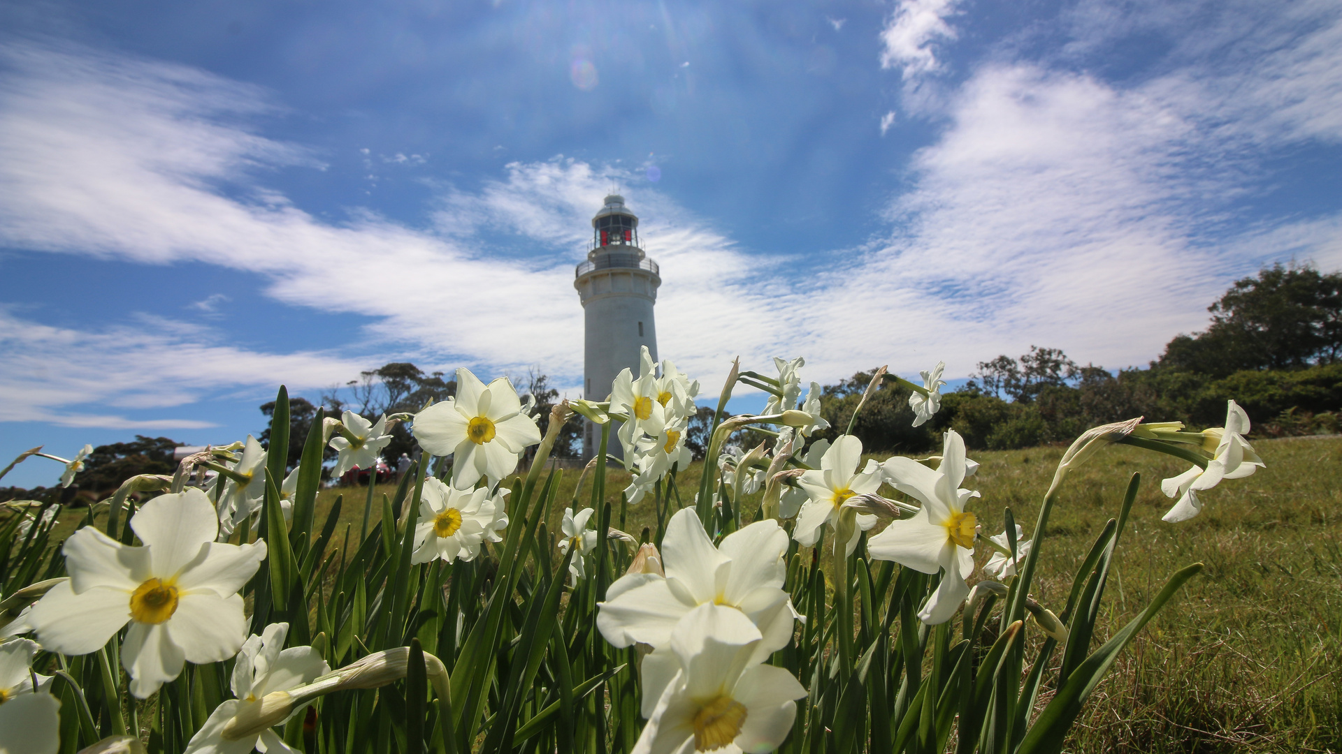 Frühling am Table Cape Leuchtturm in Tasmanien