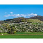 Frühling am Teckberg