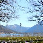 Frühling am Tegernsee