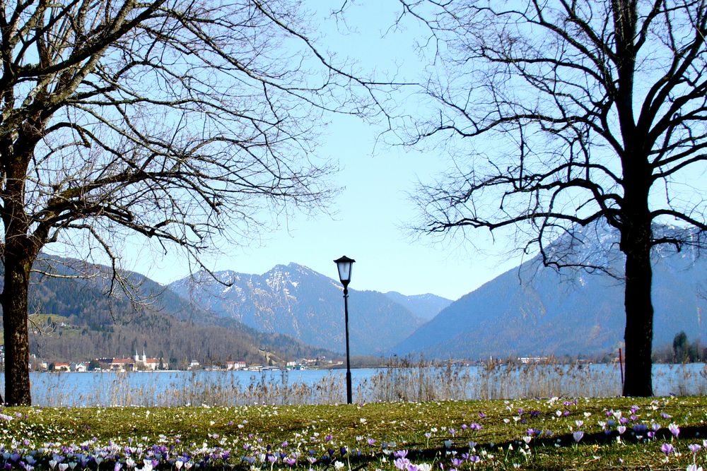 Frühling am Tegernsee