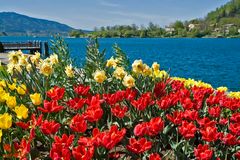 Fruehling am Tegernsee