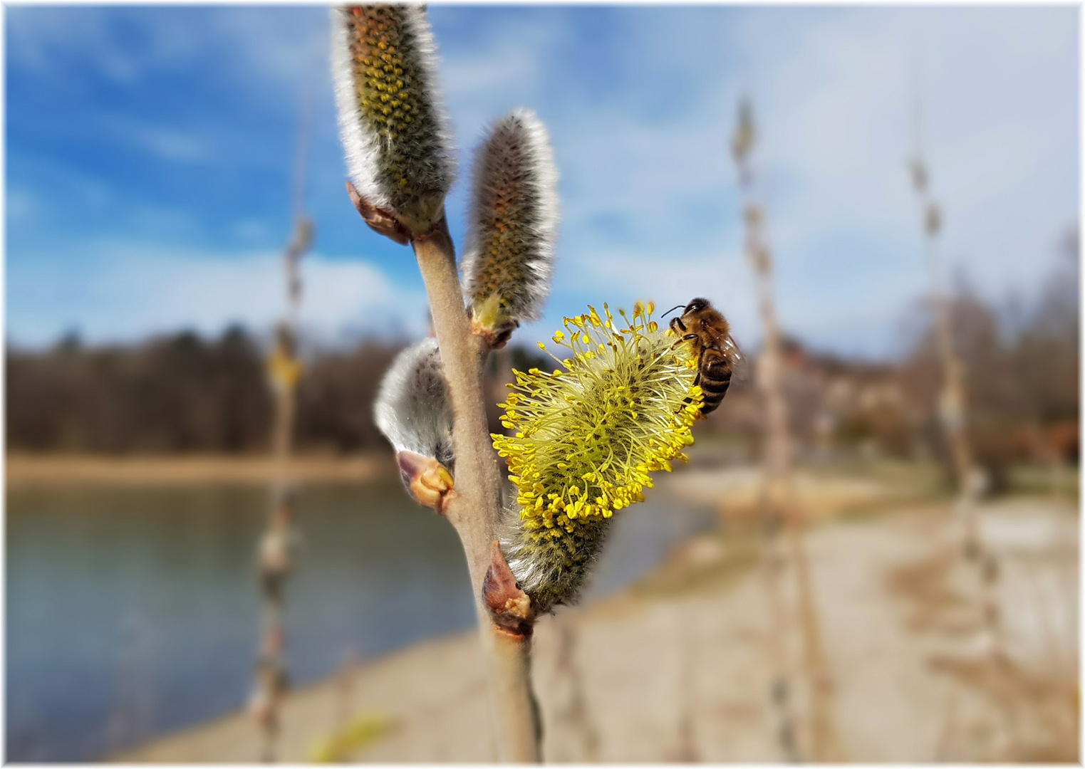 Frühling am Tegernsee