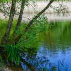 Frühling am Teich