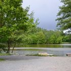 Frühling am Teich