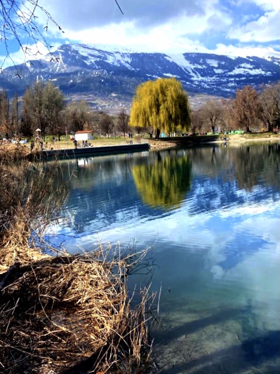 Frühling am Teich