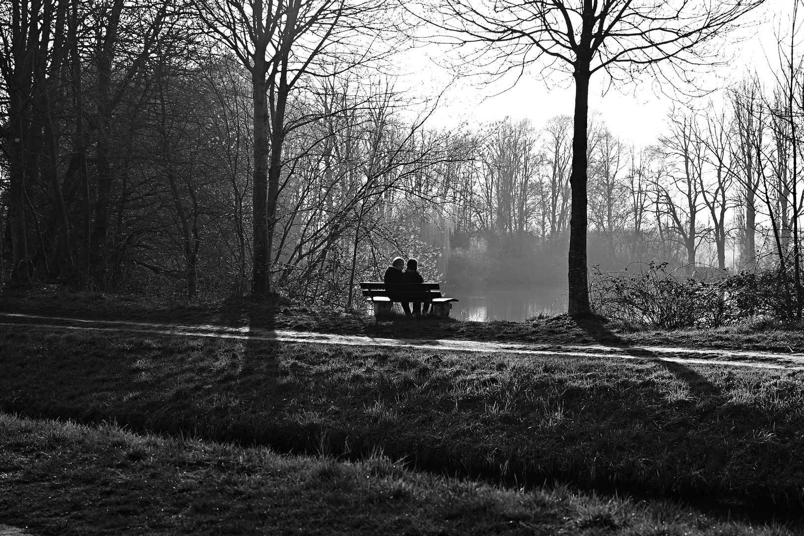 Frühling am Teich