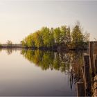 Frühling am Teich