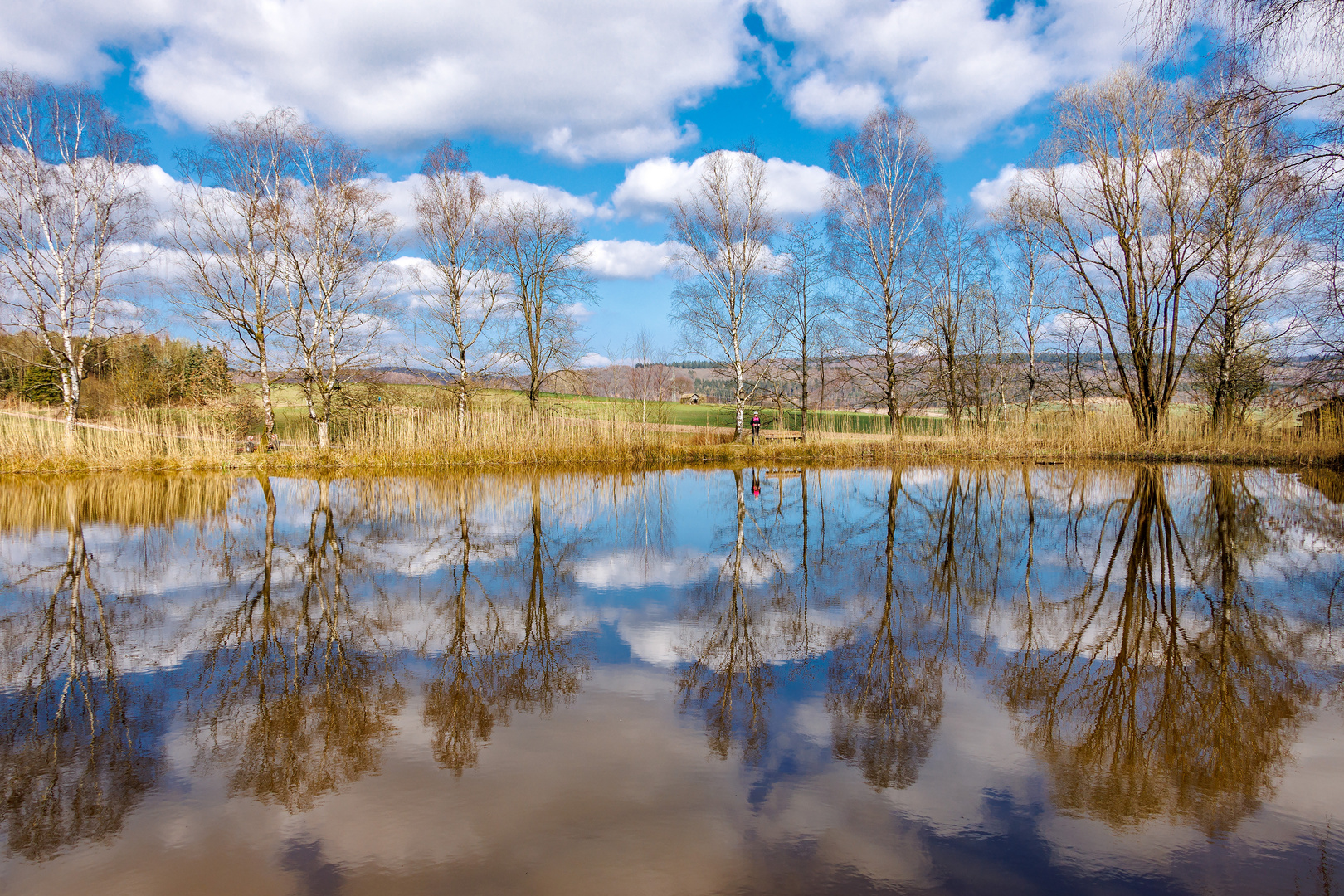 Frühling am Teich